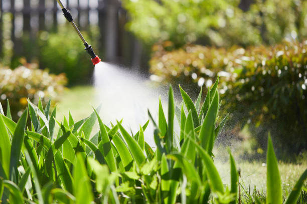 24/7 Emergency Wasp Removal experts in Wenona, IL
