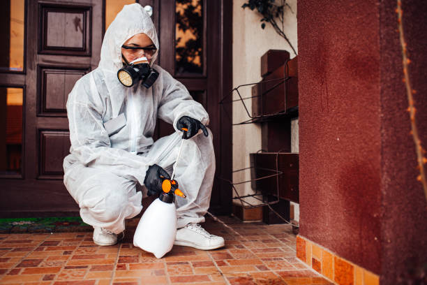 Reliable Wasp Removal contractor in Wenona, IL by Show Me Pest Control